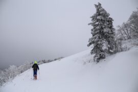 Ciaspolare sulla neve con ciaspole